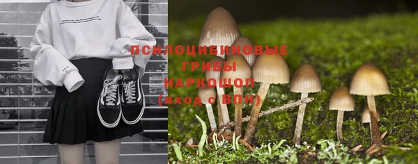 хмурый Алексеевка
